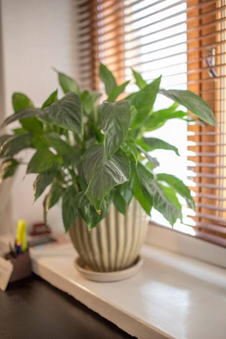 טמפרה A Lovely Apartment Near Railway Station And Arena. מראה חיצוני תמונה