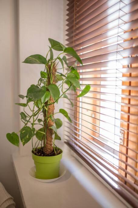 טמפרה A Lovely Apartment Near Railway Station And Arena. מראה חיצוני תמונה